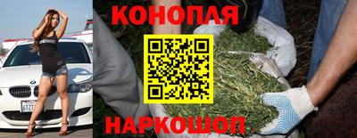 сатива Владимир