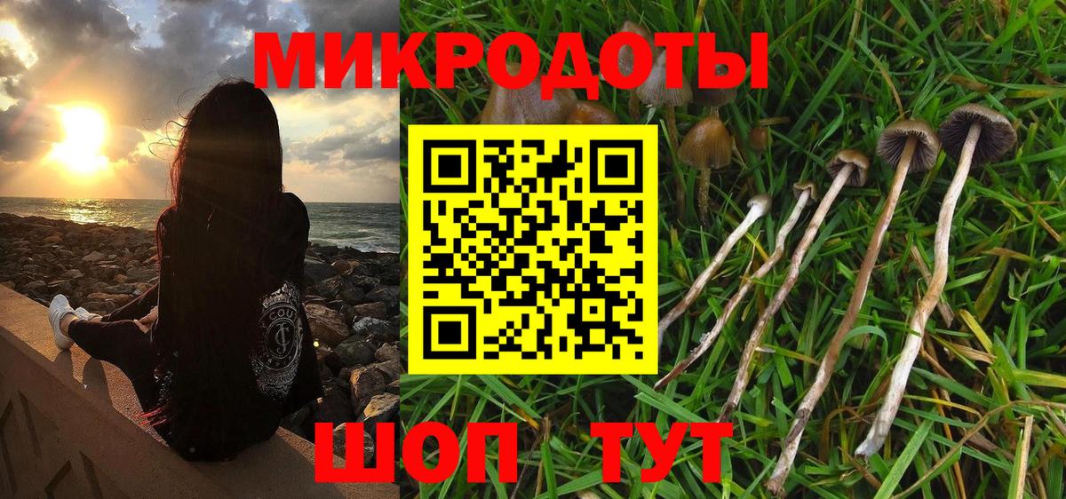 Галлюциногенные грибы ЛСД  Вход с VPN  Луга 