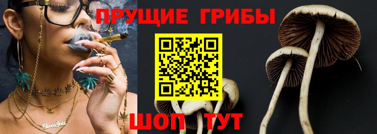 Галлюциногенные грибы мухоморы Луга